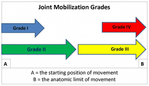 Joint Mobilization Grades