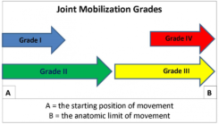 Joint Mobilizations