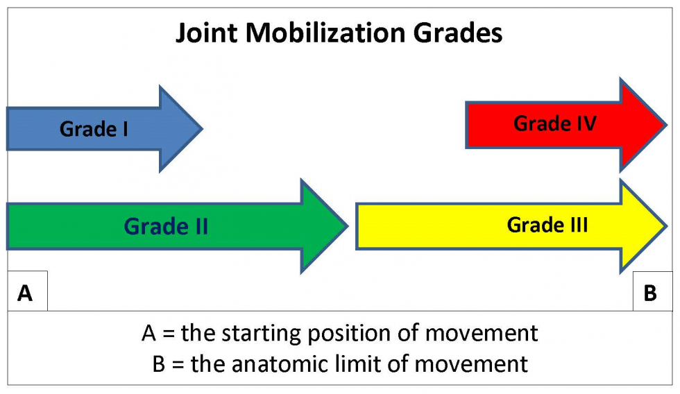 Joint Mobilization Grades Illustration