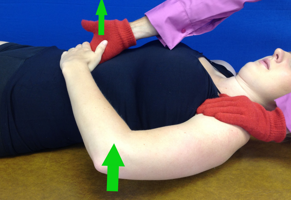 Subscapularis:  How is the Largest RC Muscle so Overlooked?