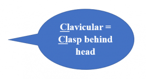 Clavicular bubble