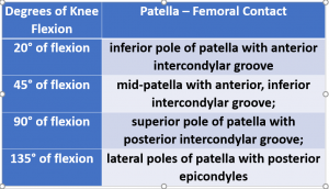 Patella-Femoral Contact