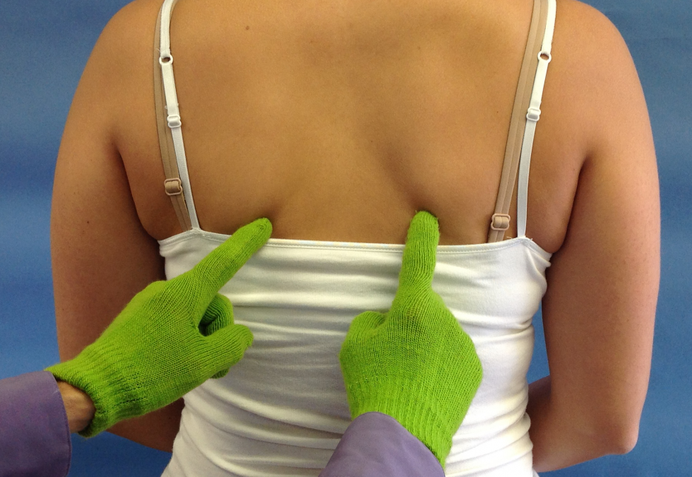 Sick Scapula Test Demonstration