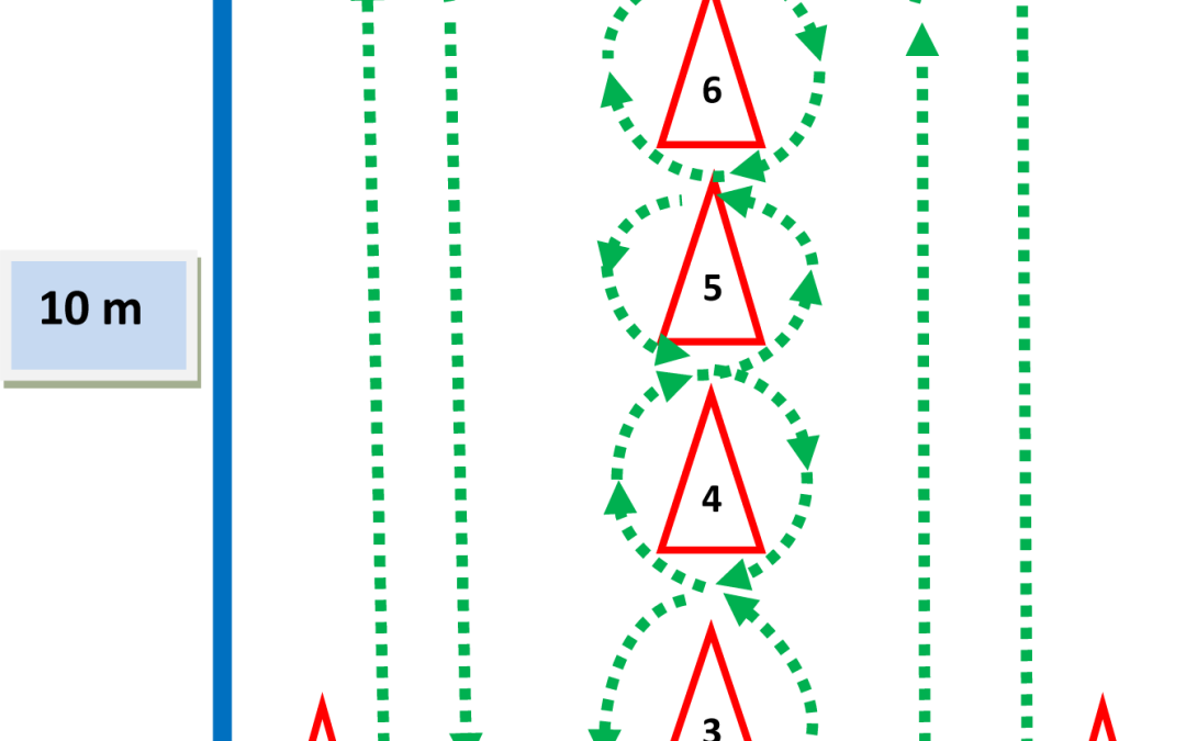 Agility Testing